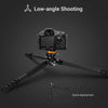 Travel Tripod Qobra TARION