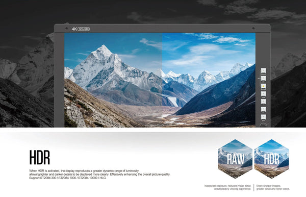 Tarion P17 Monitor TARION