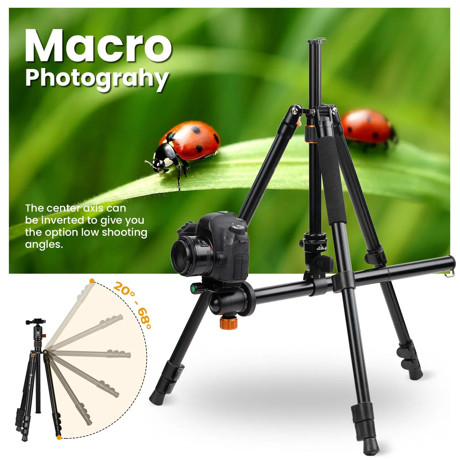 TARION VB-02 Tripod Center Column+Q550 Tripod TARION