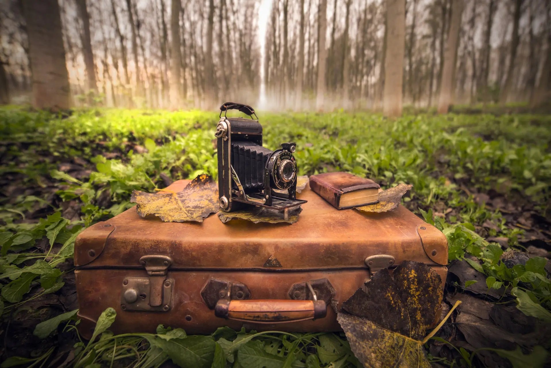 Evolution-of-camera-bags TARION