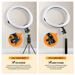 TARION 11" Ring light with desk stand tripod