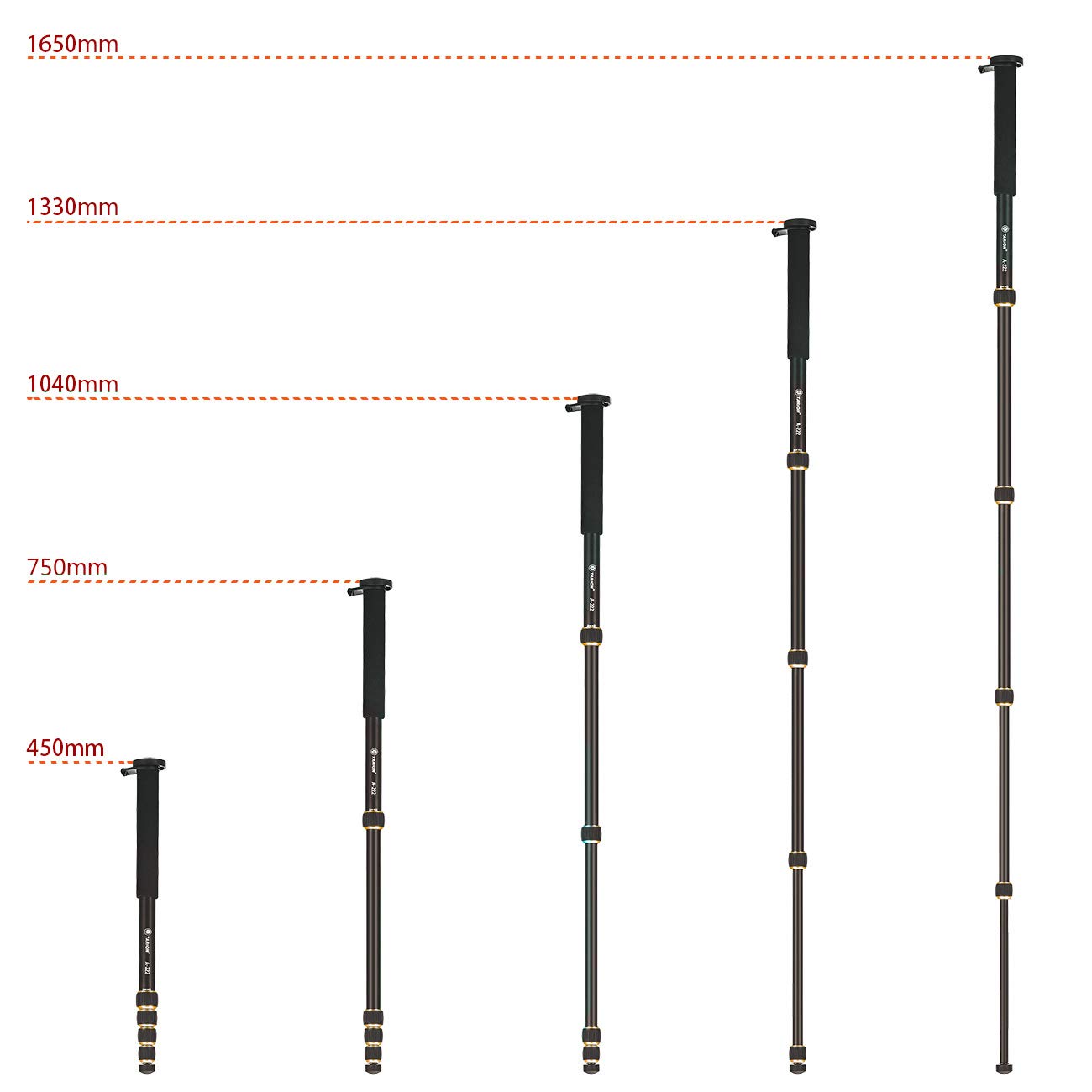 TARION A222 Monopod with M1 Base